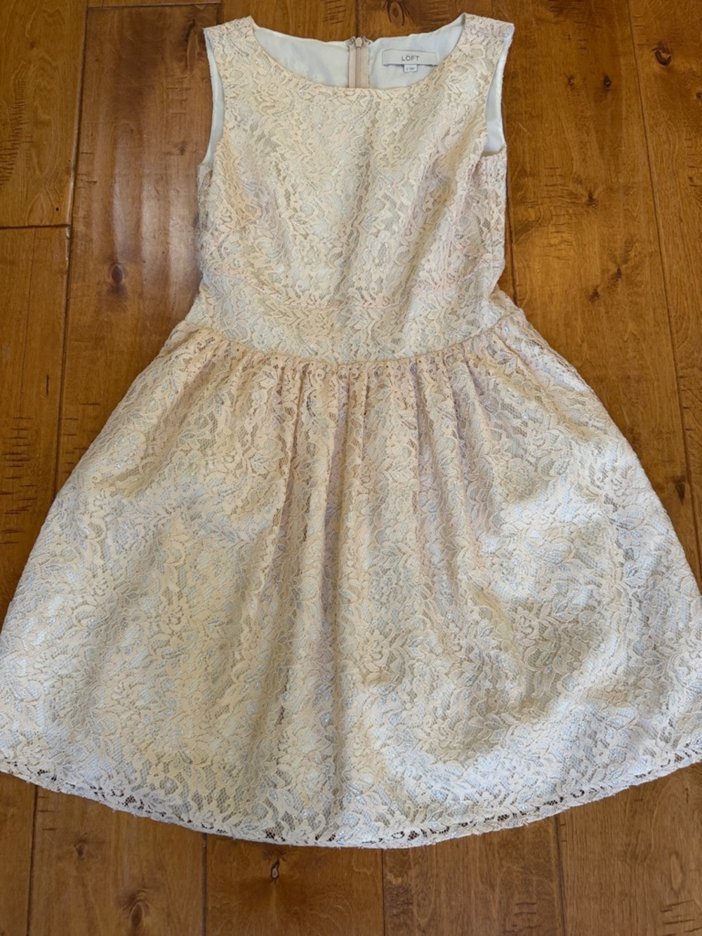LOFT Cream Lace Sleeveless Fit-and-Flare Dress